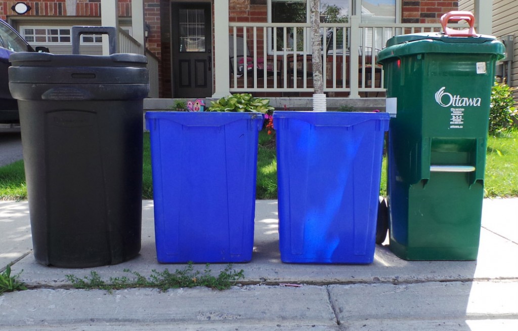 Garbage day. Photo by Glen Gower