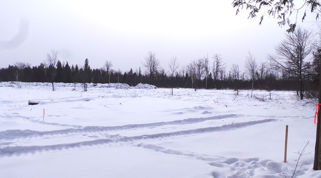 Part of the land cleared recently at 6279 Fernbank Road, south of Elm Crescent. Photo taken February 14, 2015.