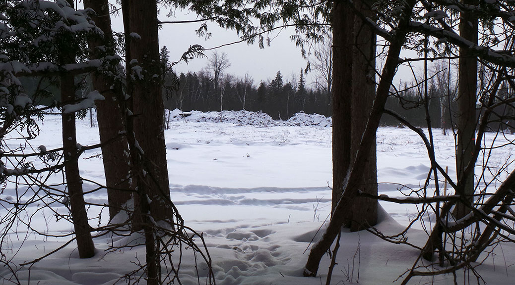 Part of the land cleared recently at 6279 Fernbank Road, south of Elm Crescent. Photo taken February 14, 2015.