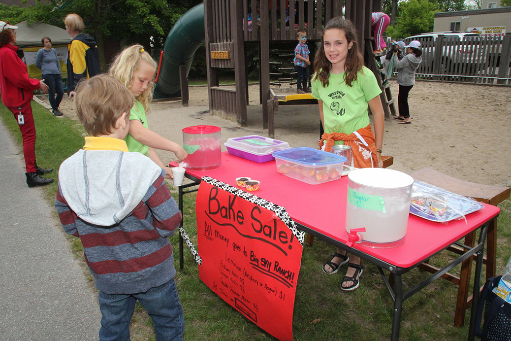 Arts in the Park 2017. Photo by Barry Gray.