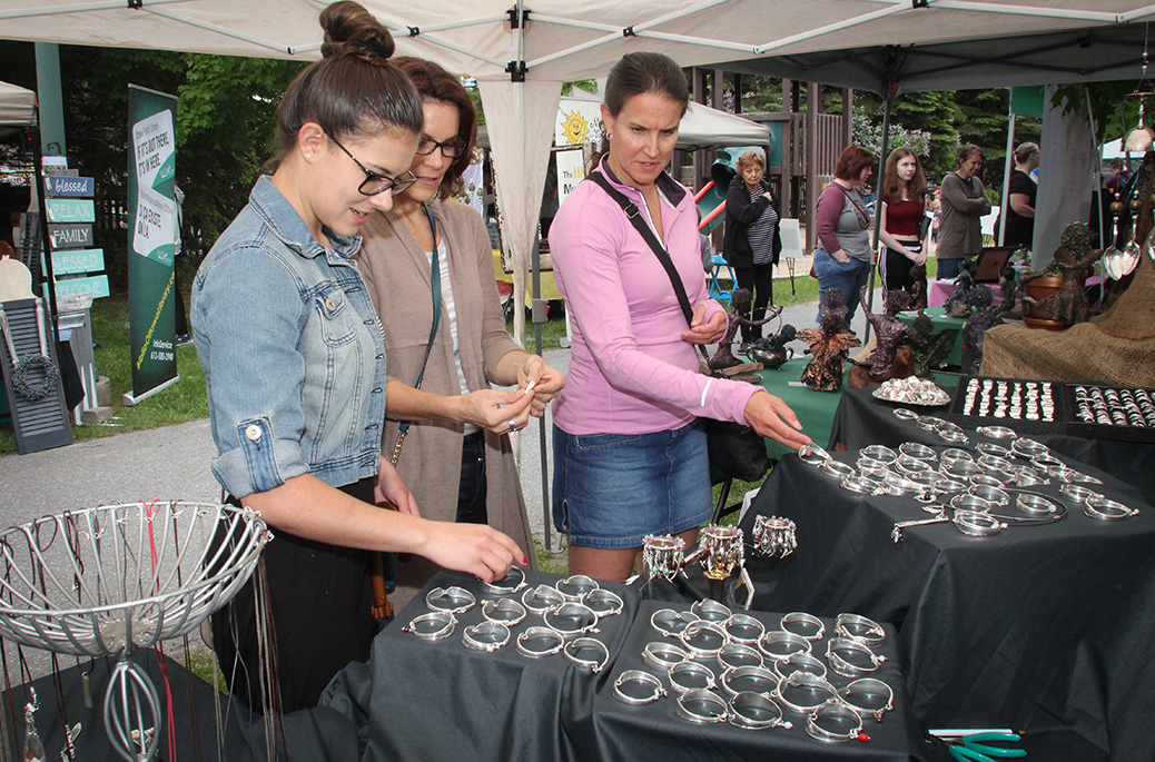 Arts in the Park 2017. Photo by Barry Gray.