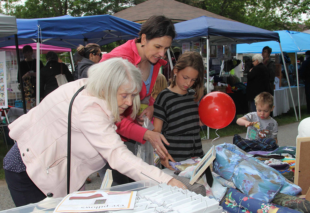 Arts in the Park 2017. Photo by Barry Gray.