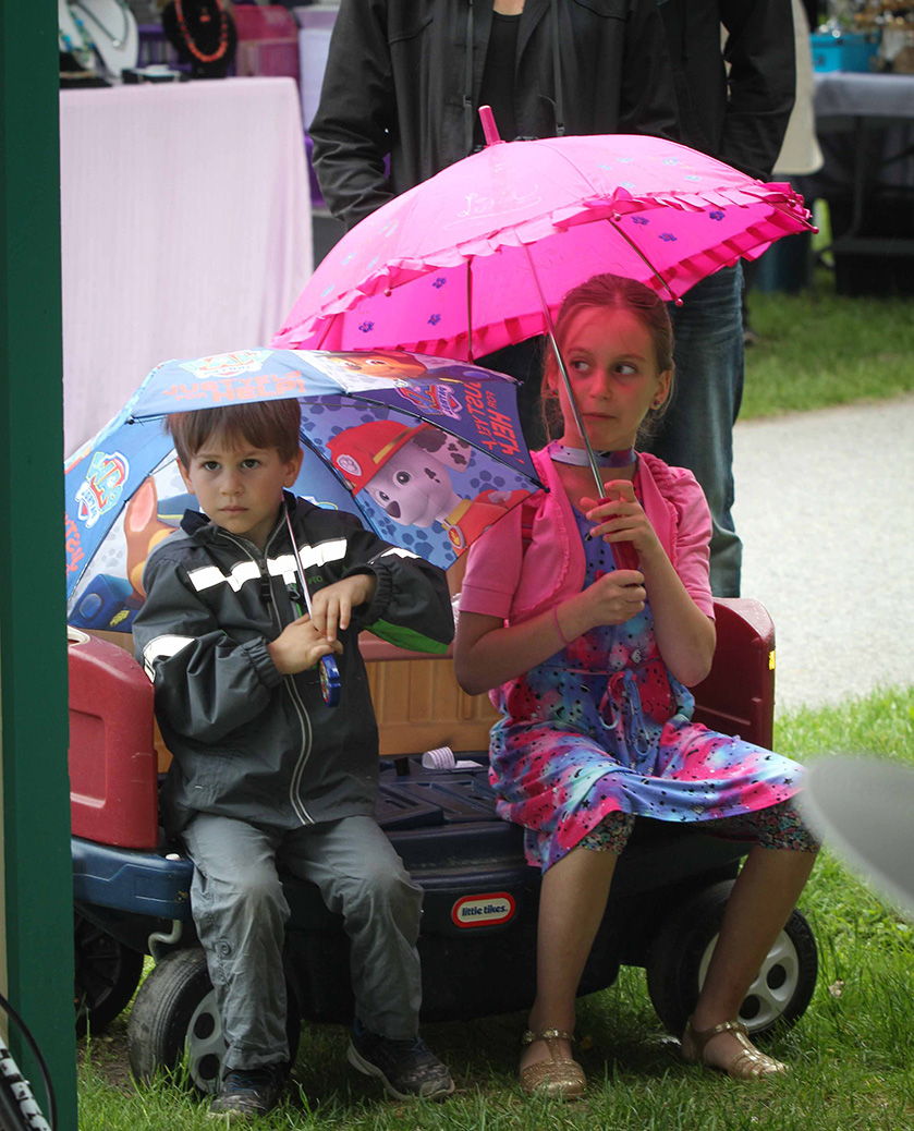 Arts in the Park 2017. Photo by Barry Gray.