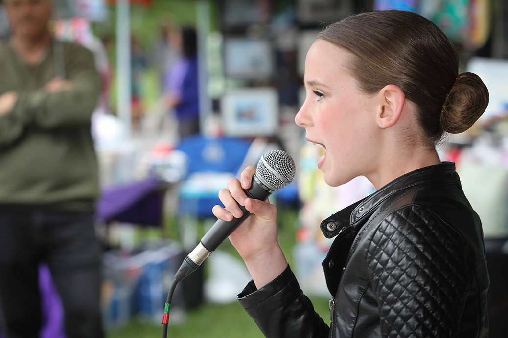 Arts in the Park 2017. Photo by Barry Gray.