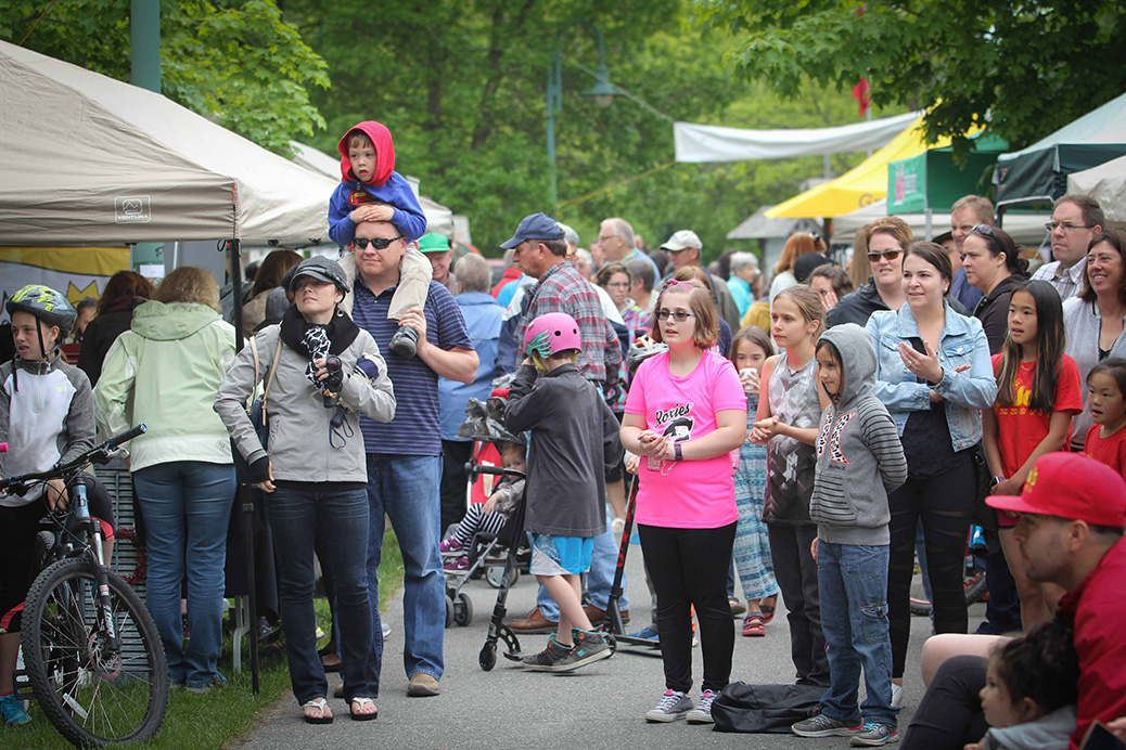 Arts in the Park 2017. Photo by Barry Gray.