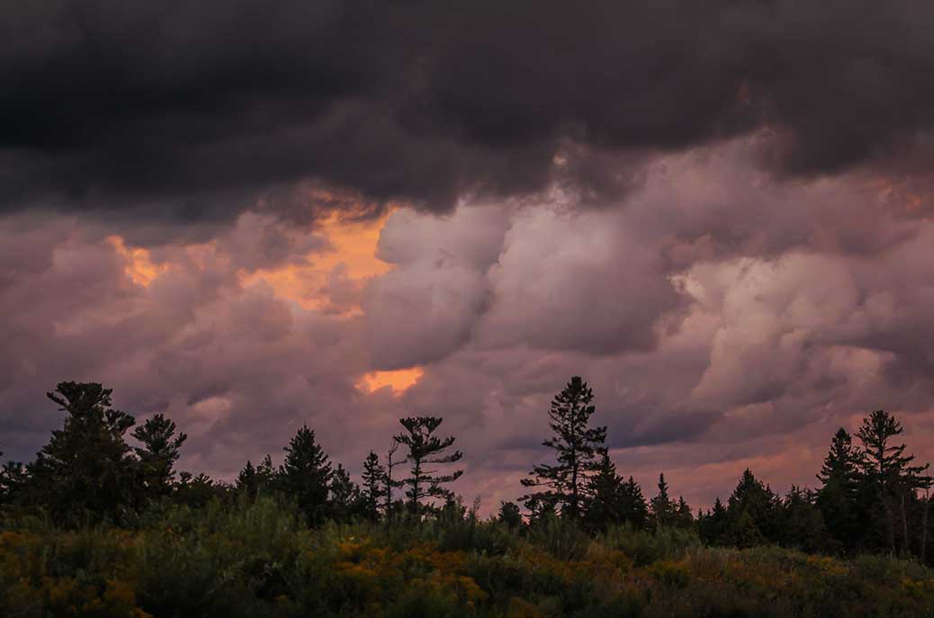 Clouds and sunset. Photo by Barry Gray.