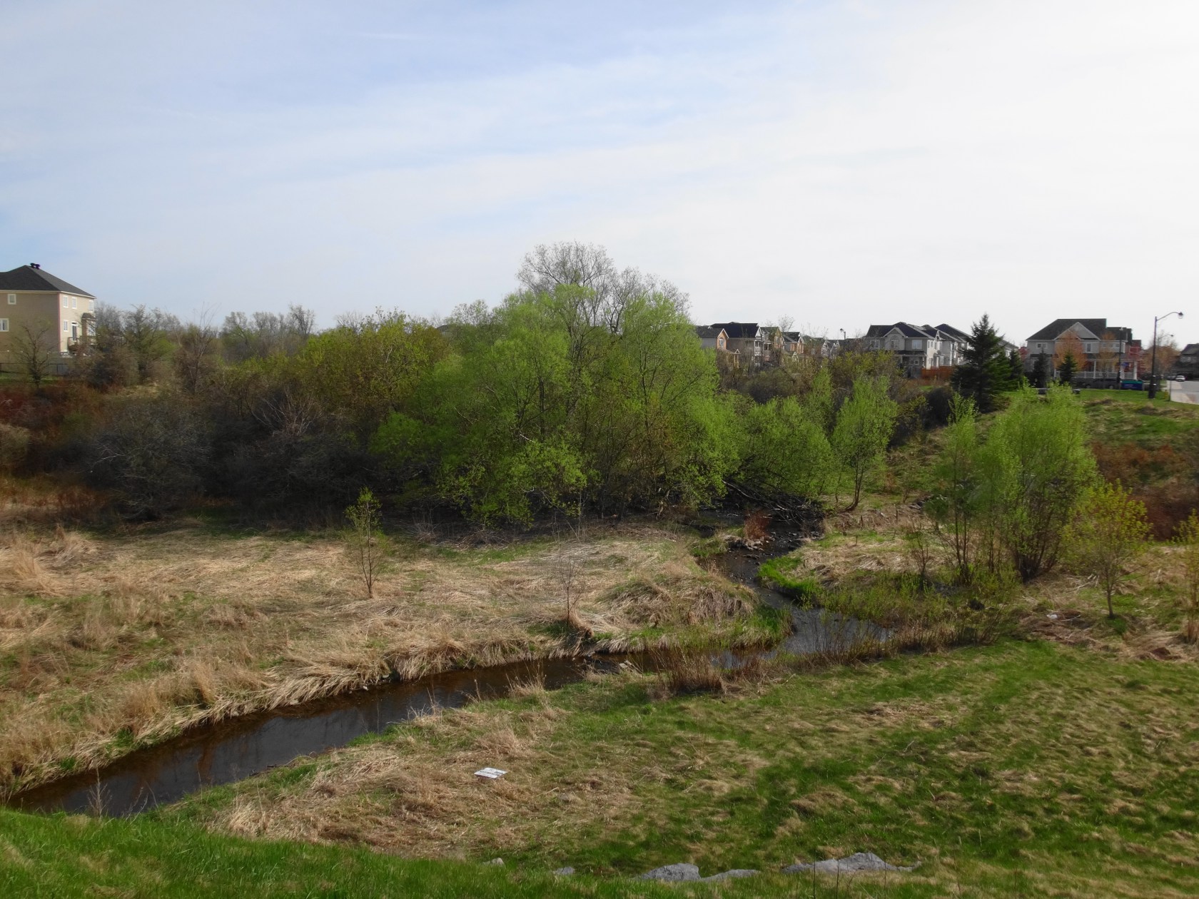 Lower Poole Creek at Huntmar. Photo by Nick Stow.