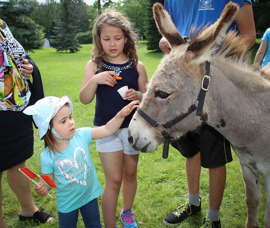 Canada 2017 in Stittsville. Photo by Barry Gray.
