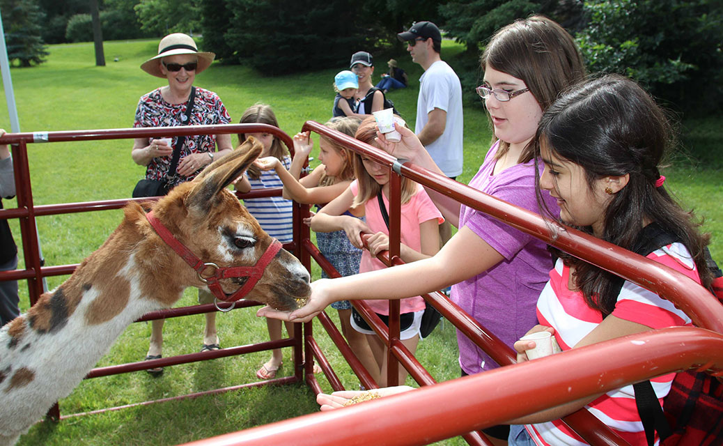 Canada 2017 in Stittsville. Photo by Barry Gray.