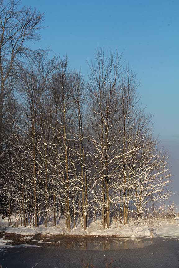 STITTSVILLE, ON. Dec 6, 2016. Barry Gray (Stittsvillecentral).