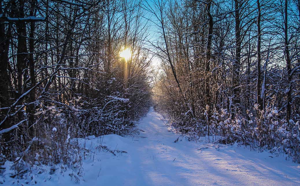 STITTSVILLE, ON. Dec 6, 2016. Early moring trails. Barry Gray (Stittsvillecentral).