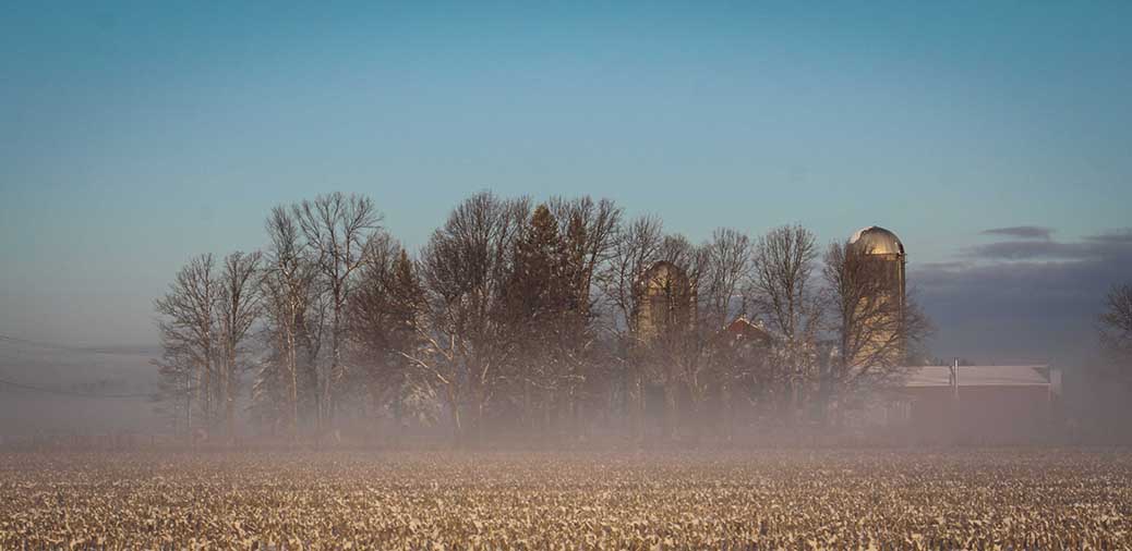STITTSVILLE, ON. Dec 6, 2016. Fog in cornfields. Barry Gray (Stittsvillecentral).