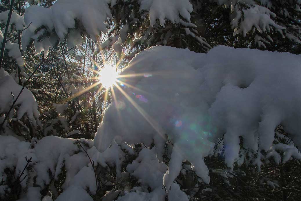 STITTSVILLE, ON. Dec.6 2016. Sun bursts through the trees on the Trans Canada Trail. Barry Gray (StittsvilleCentral).