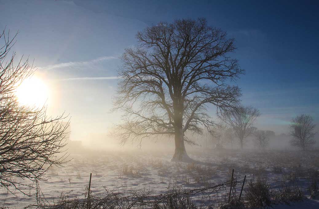 STITTSVILLE, ON. Dec 6, 2016. Barry Gray (Stittsvillecentral).