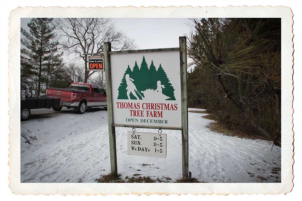 NORTH GOWER, ON. Dec 11, 2016. Entrance to Thomas Tree Farm. Barry Gray (StittsvilleCentral)