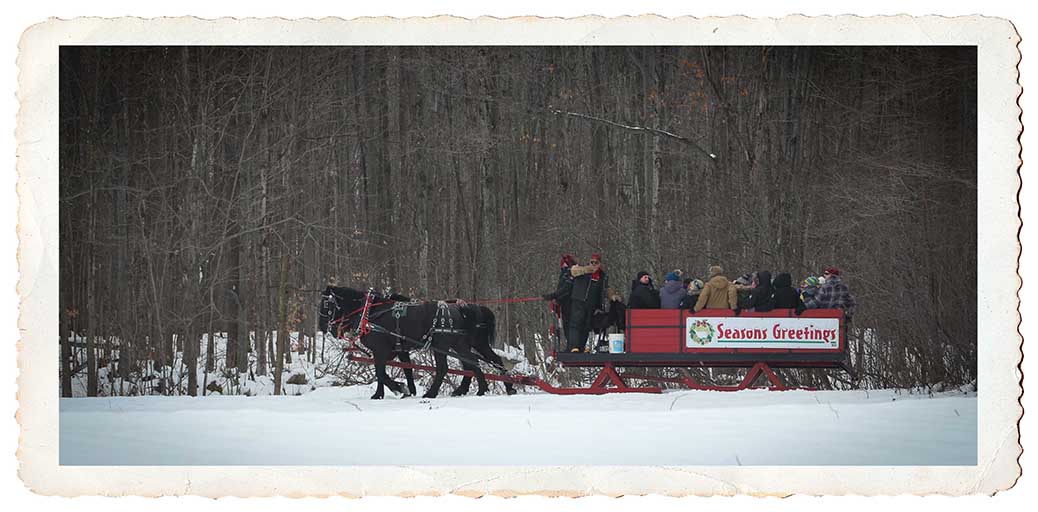 NORTH GOWER, ON. Dec 11, 2016. Sleigh ride to the back of the farm. Barry Gray (StittsvilleCentral)