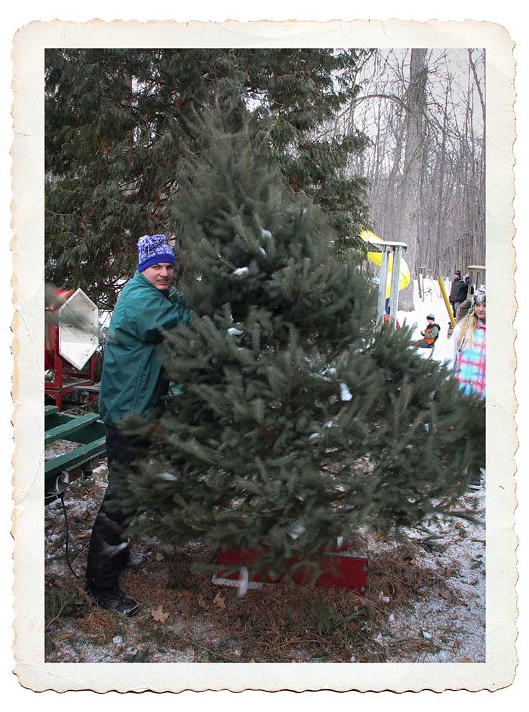 NORTH GOWER, ON. Dec 11, 2016. Shaking off the tree branches. Barry Gray (StittsvilleCentral)
