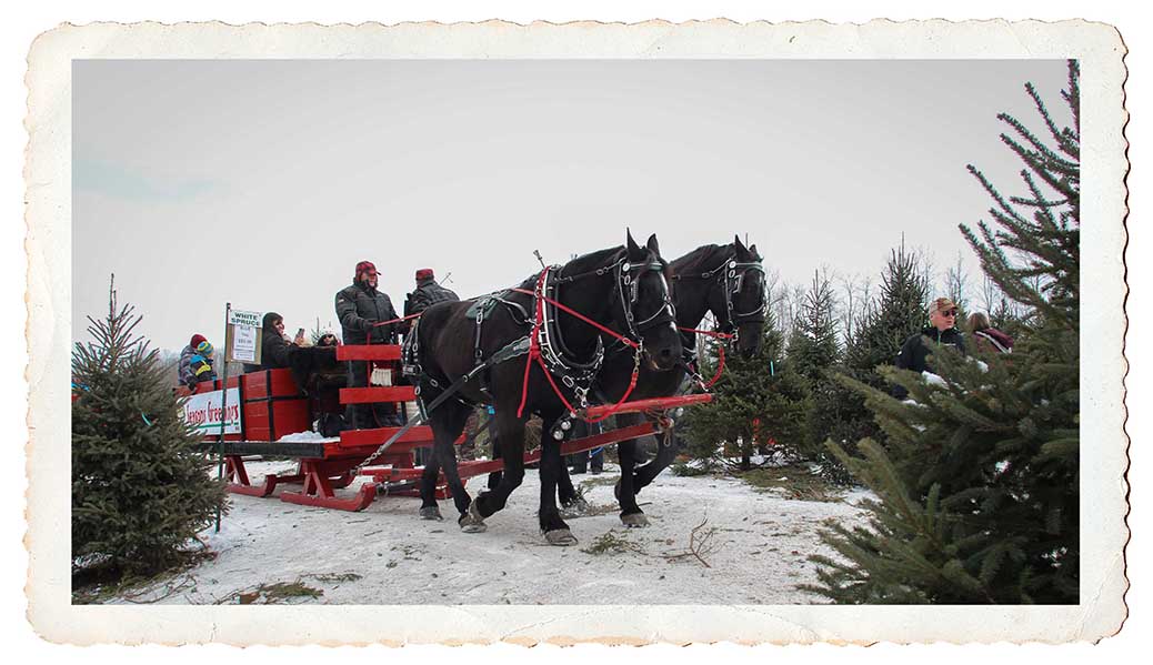 NORTH GOWER, ON. Dec 11, 2016. Barry Gray (StittsvilleCentral)