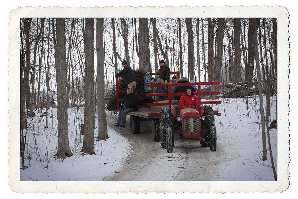 NORTH GOWER, ON. Dec 11, 2016. Tractor bring back trees and people from the tree farm. Barry Gray (StittsvilleCentral)