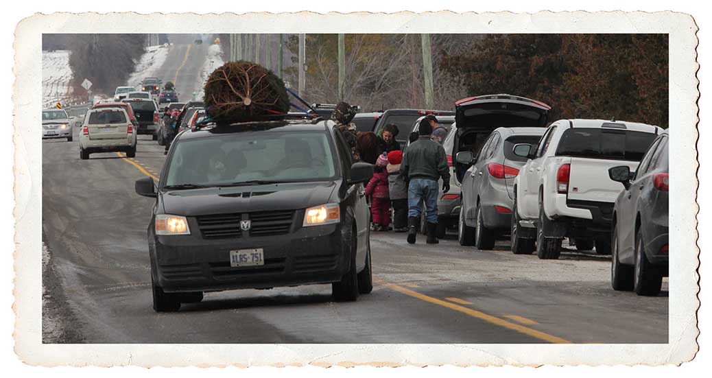 NORTH GOWER, ON. Dec 11, 2016. Lots of traffice at Thomas Tree Farm Glen Thomas estimated about 600 people showed up on Sunday. Barry Gray (StittsvilleCentral)