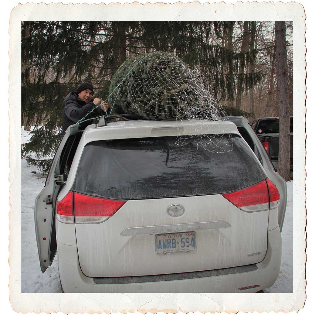 NORTH GOWER, ON. Dec 11, 2016. Loading trees on the roofs. Barry Gray (StittsvilleCentral)