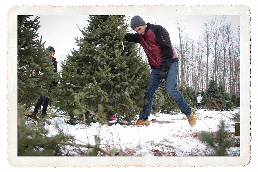NORTH GOWER, ON. Dec 11, 2016. Holding the tree for the last cut. Barry Gray (StittsvilleCentral)