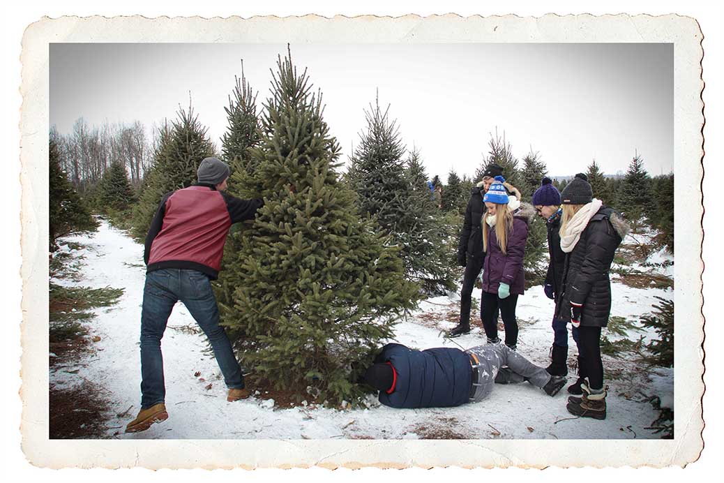 NORTH GOWER, ON. Dec 11, 2016. Making the cut at Thomas Tree Farm. Barry Gray (StittsvilleCentral)