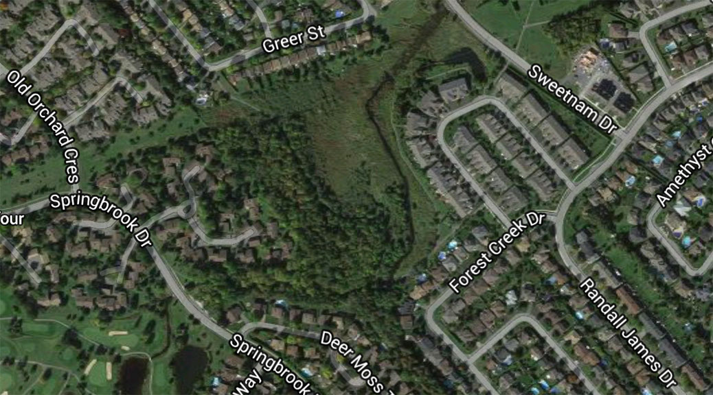 Map of Amberwood showing location of Ash trees to be removed