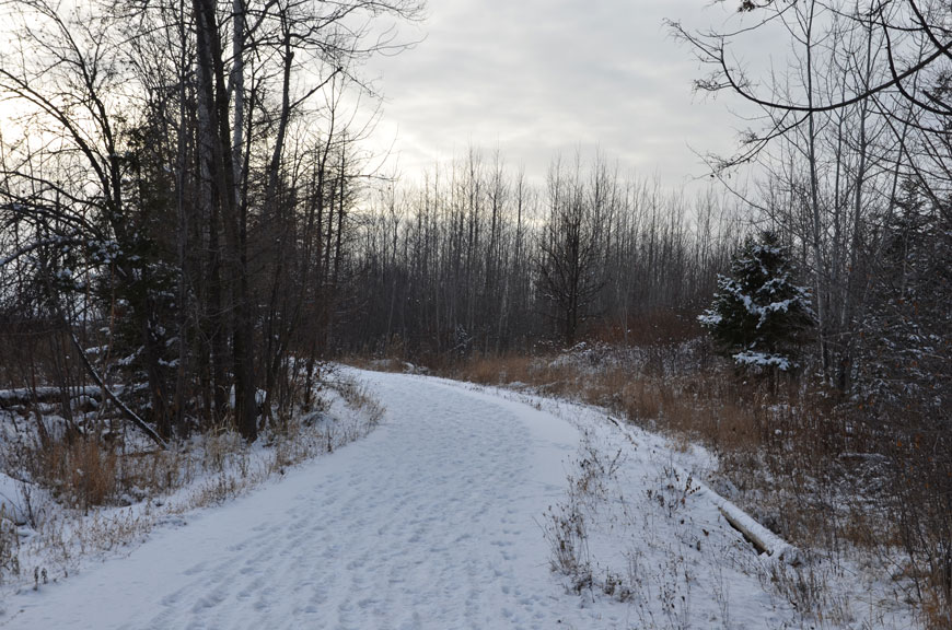 Jackson Trails, December 2017. Photo by Connor Boudreau.