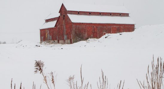 The Bradley-Craig barn, under freshly-fallen snow. Photo by Rob Hambly.