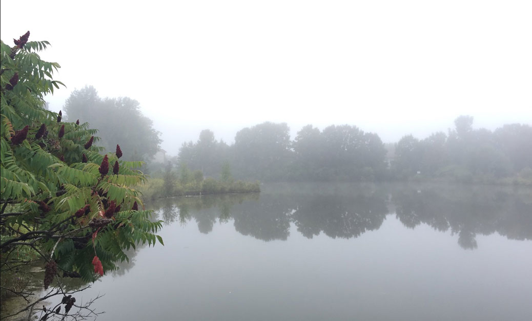 A misty morning at the Granite Ridge stormwater pond. Photo by Stephany Castilla on Wednesday, September 6. 