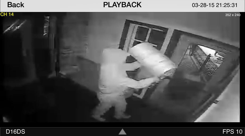 Cheshire Cat security camera footage