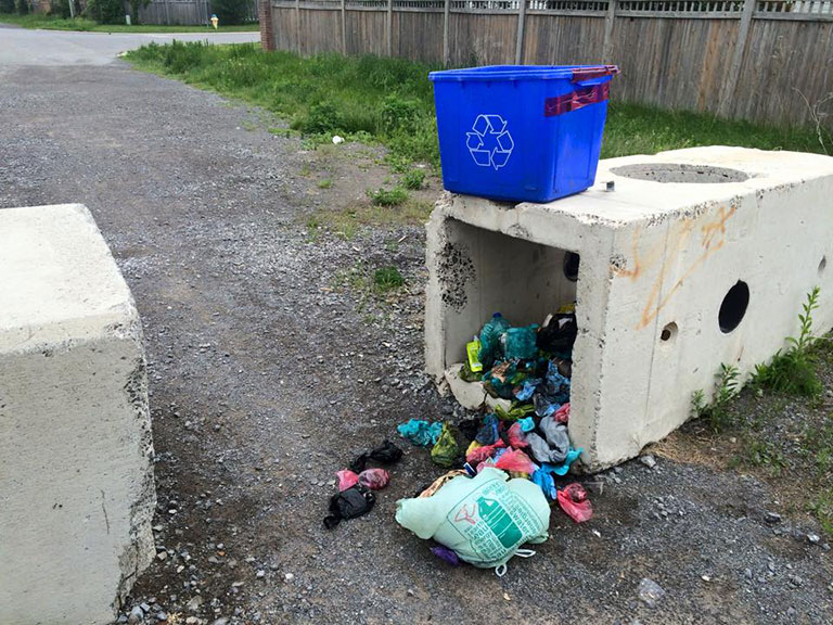 Dog waste at the end of Maple Grove.