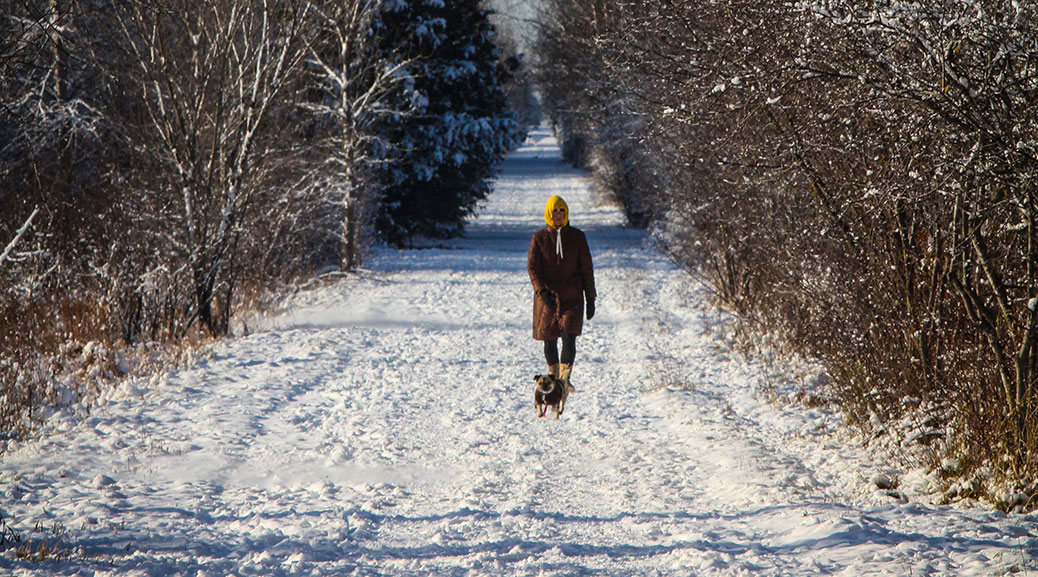 Early morning dog walker on the Trans Canada Trail. Photo by Barry Gray.