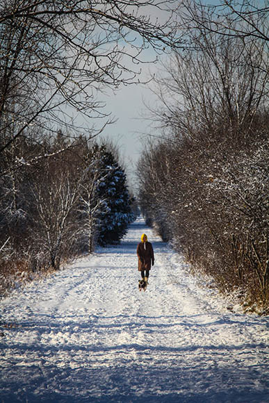 Early morning dog walker on the Trans Canada Trail. Photo by Barry Gray.
