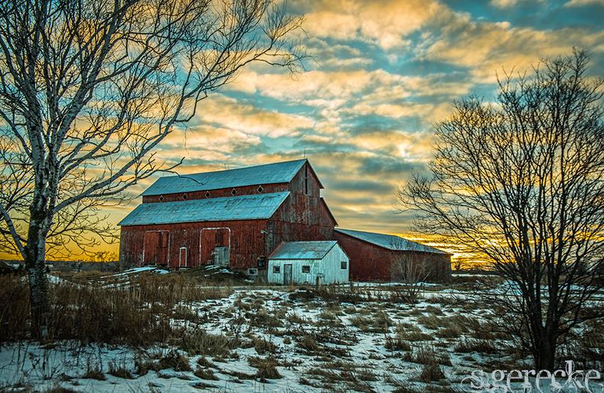 Photo by Steve Garecke.