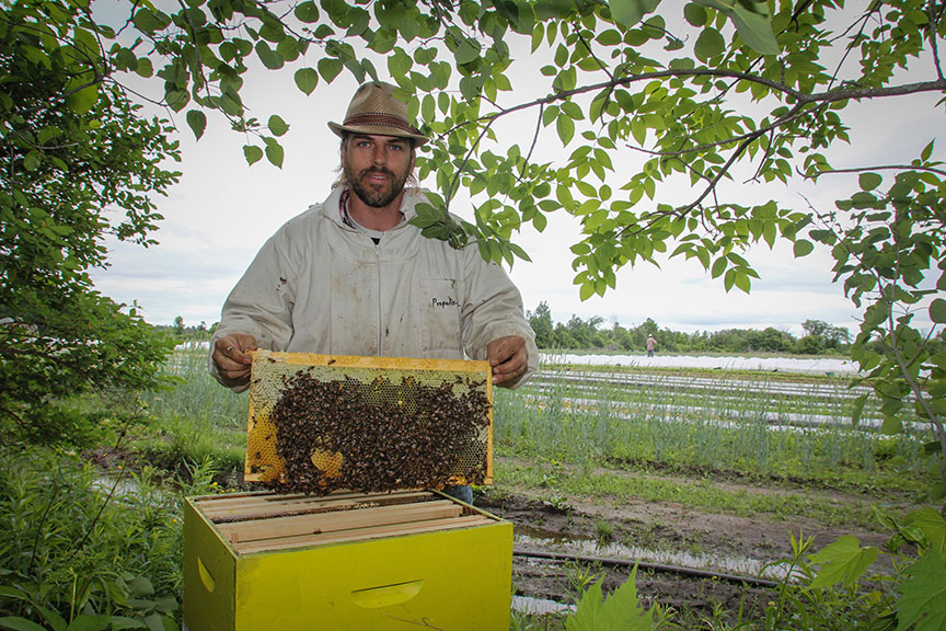 Matthew Gee, Co-Founder of Gees Bees Honey Company, holding up part of a bee hive. Photo by Barry Gray.