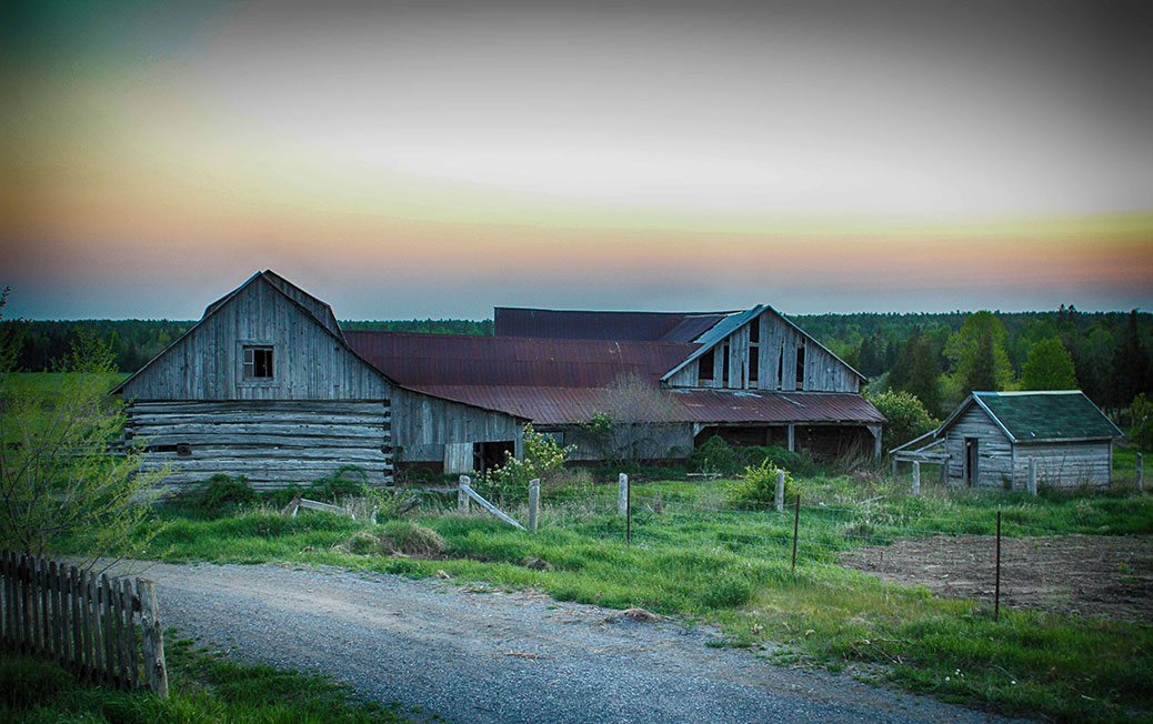 An abandoned farm, just west of Stittsville off a side road. Photo by Barry Gray.