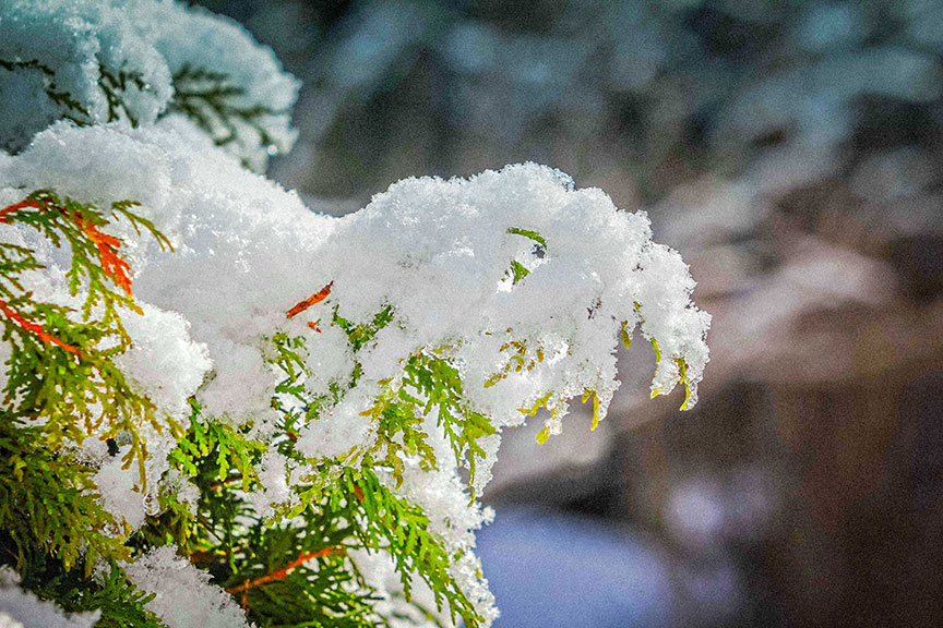 "Overnight snow" by Barry Gray