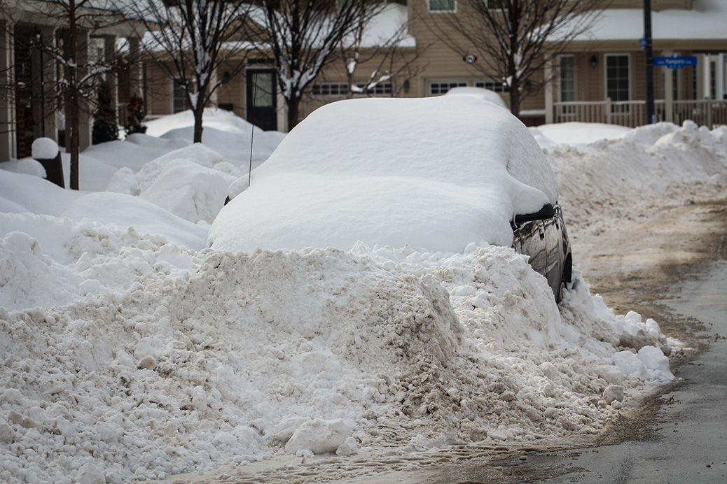 Snowed in. Photo by Barry Gray.