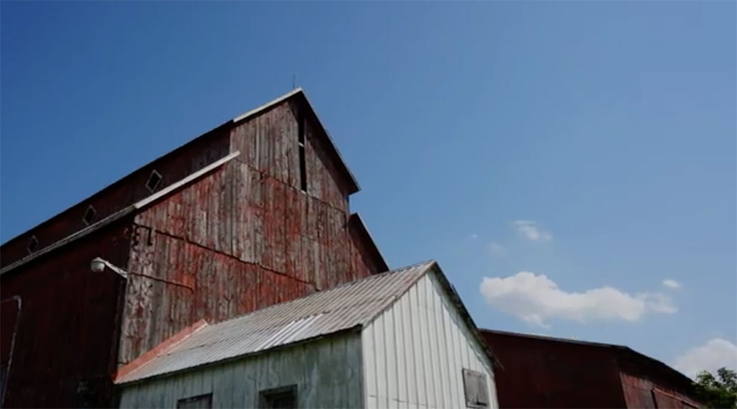 Bradley-Craig Farm / photo by Hien Hoang