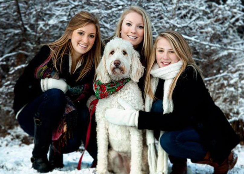 Holly the goldendoodle