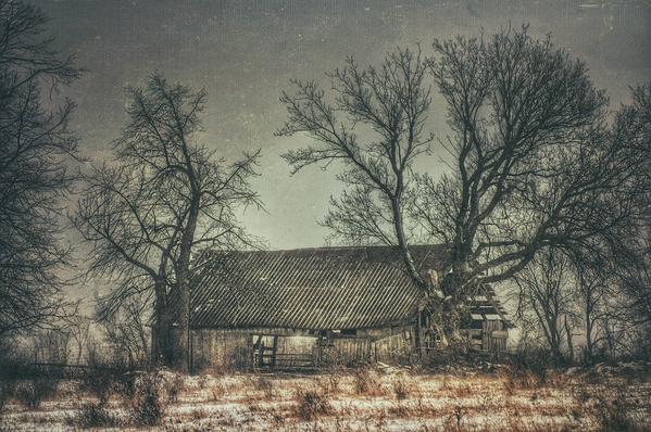 Old barn on Fernbank near Founder Avenue. Photo by Joh Neuton.