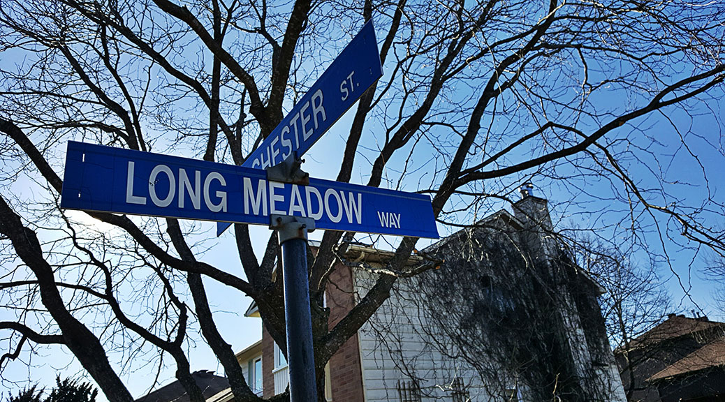 Street Sign: Long Meadow Way at Manchester Street