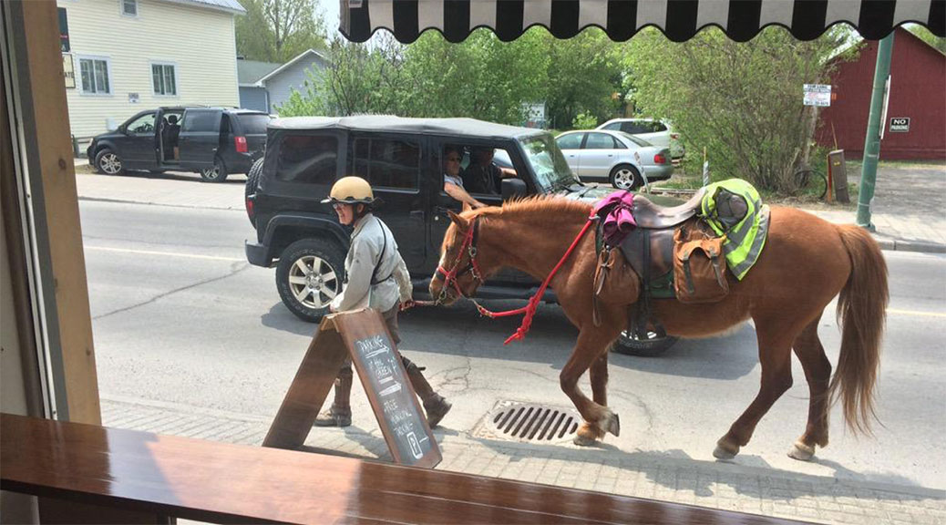 Megan Lewis and her horse Lady stop in at Quitters. Photo by Aidan Saunders.