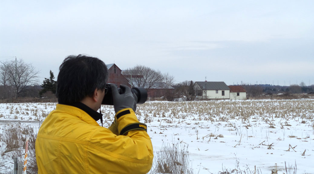 Photographing Bradley-Craig farm