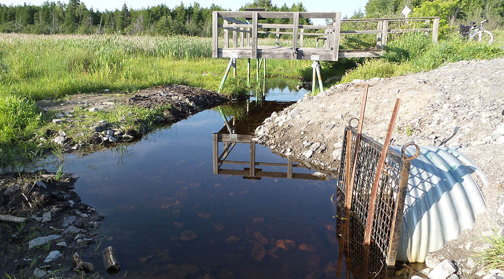 Poole Creek Wetland look-out, July 8 2015. Photo by Glen Gower.