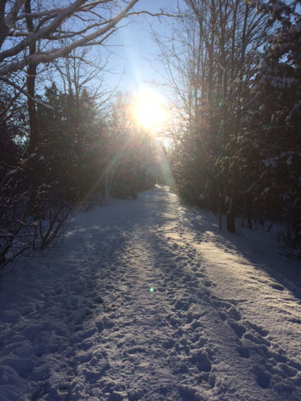 Poole Creek winter wonderland. Photo by Michelle Legault
