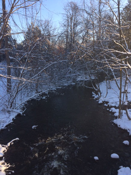 Poole Creek winter wonderland. Photo by Michelle Legault