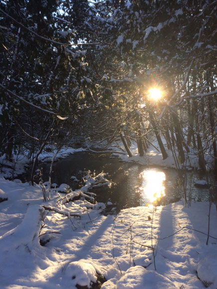Poole Creek winter wonderland. Photo by Michelle Legault